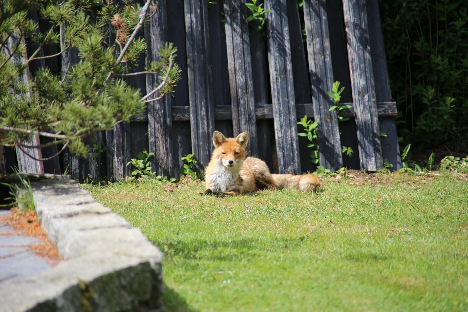RuDi Harz Ferienwohnung GbR - Header 3